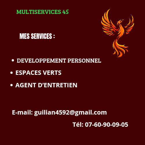 MULTISERVICES 45